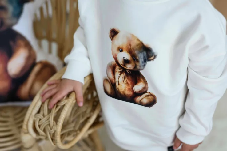 Bluza dziecięca z nadrukiem brązowego misia