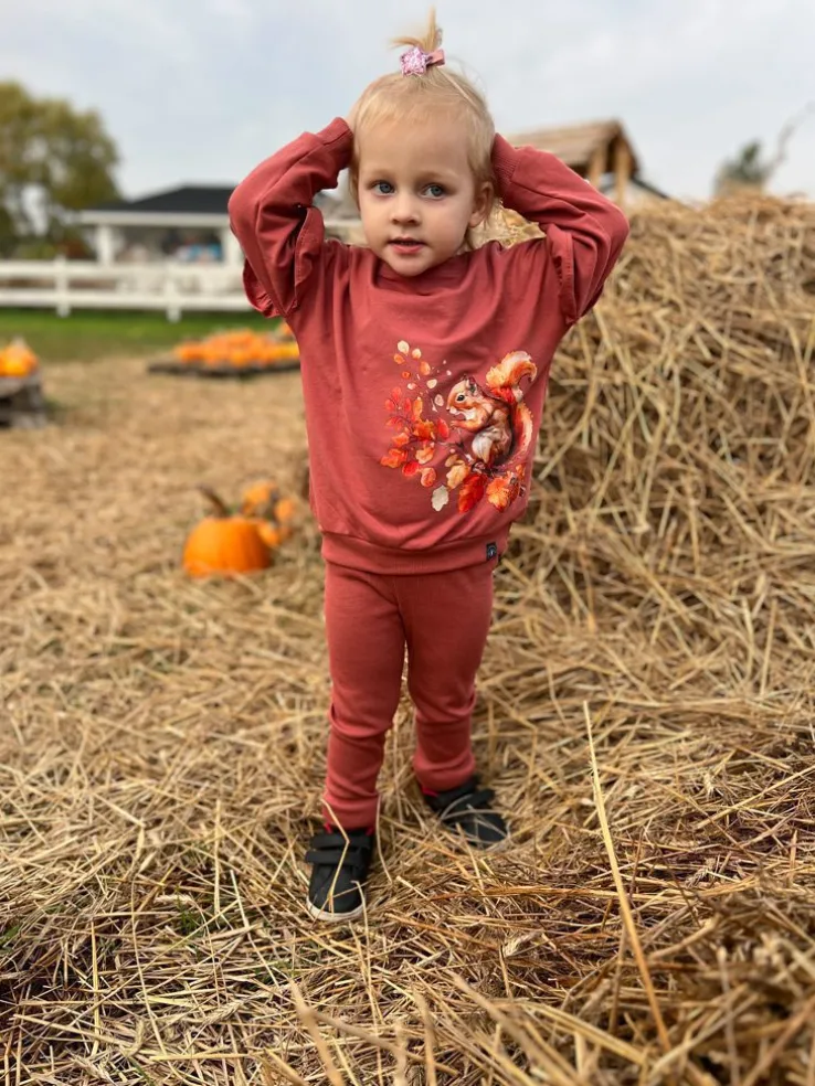 Ceglany komplet wiewiórka na gałęzi bluza + getry prążek