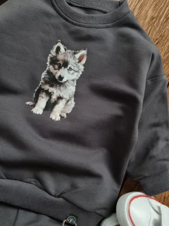 Grafitowy komplet dresowy wilczek bluza + spodnie