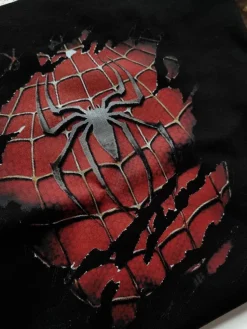Koszulka męska z nadrukiem spiderman