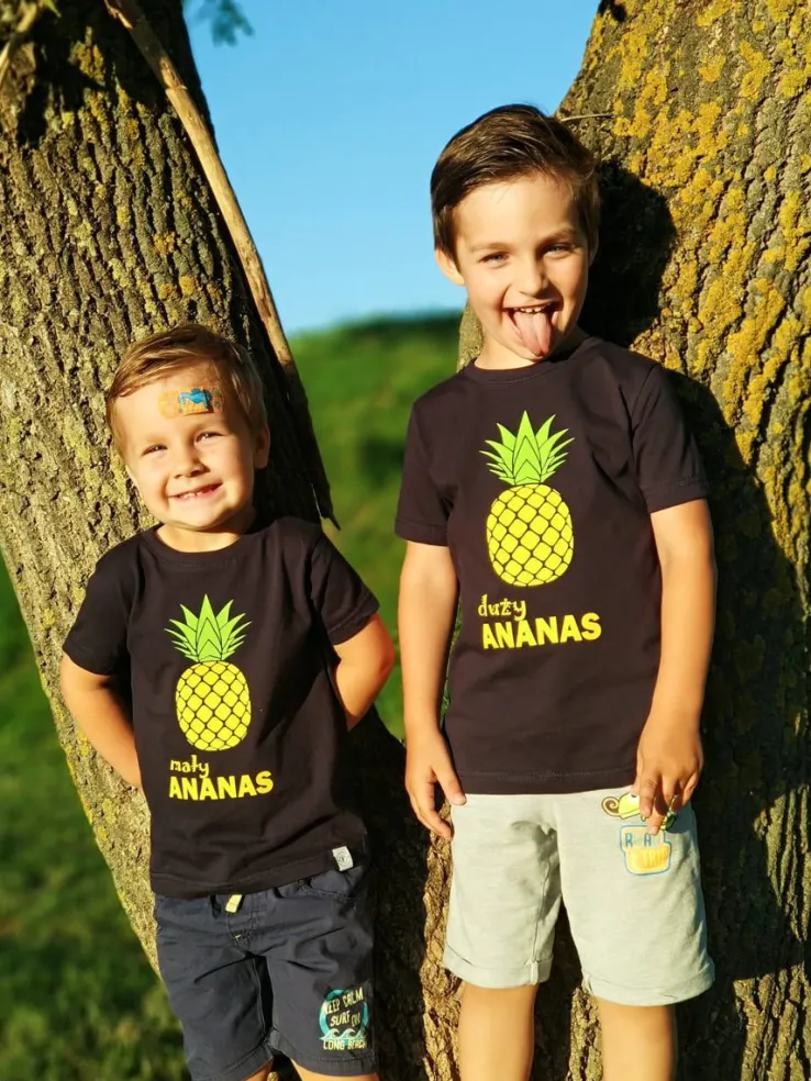 Mały i Duży Ananas