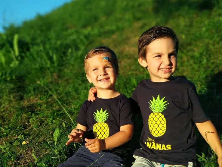 Mały i Duży Ananas